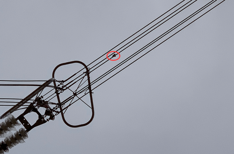 初心如磐，特力康高壓輸電線路導(dǎo)線溫度在線監(jiān)測(cè)系統(tǒng)