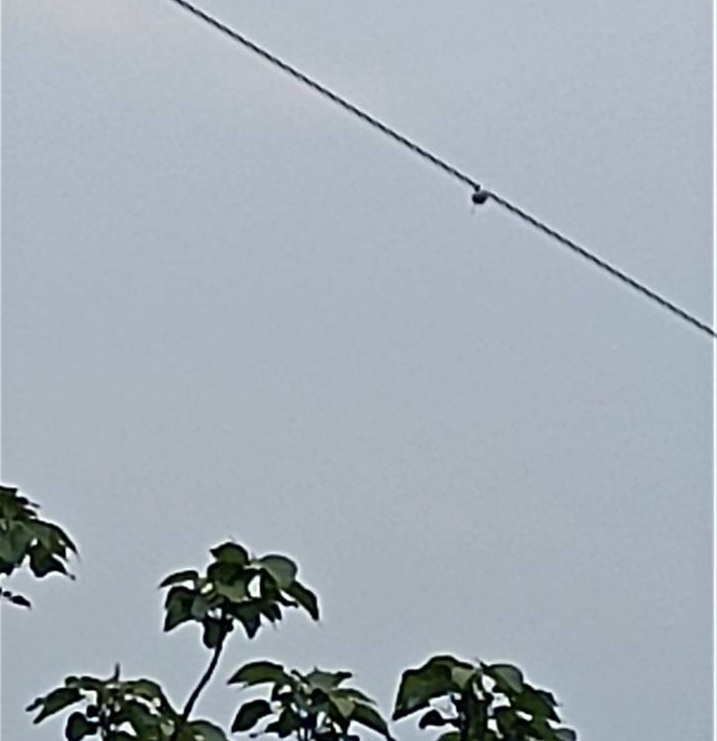 導線弧垂智能在線監(jiān)測系統(tǒng) 導線弧垂智能在線監(jiān)測系統(tǒng)